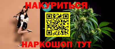 гидра Будённовск