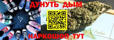 гидра Будённовск