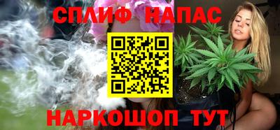 гидра Будённовск