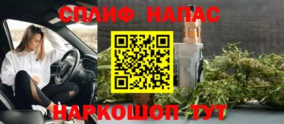стаф Бузулук