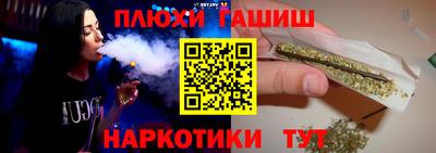гидра Будённовск