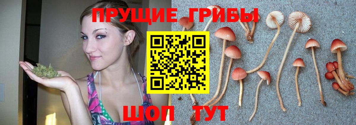 Галлюциногенные грибы мицелий Можга